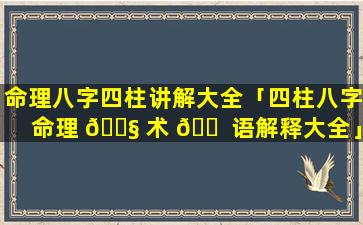 命理八字四柱讲解大全「四柱八字命理 🐧 术 🐠 语解释大全」